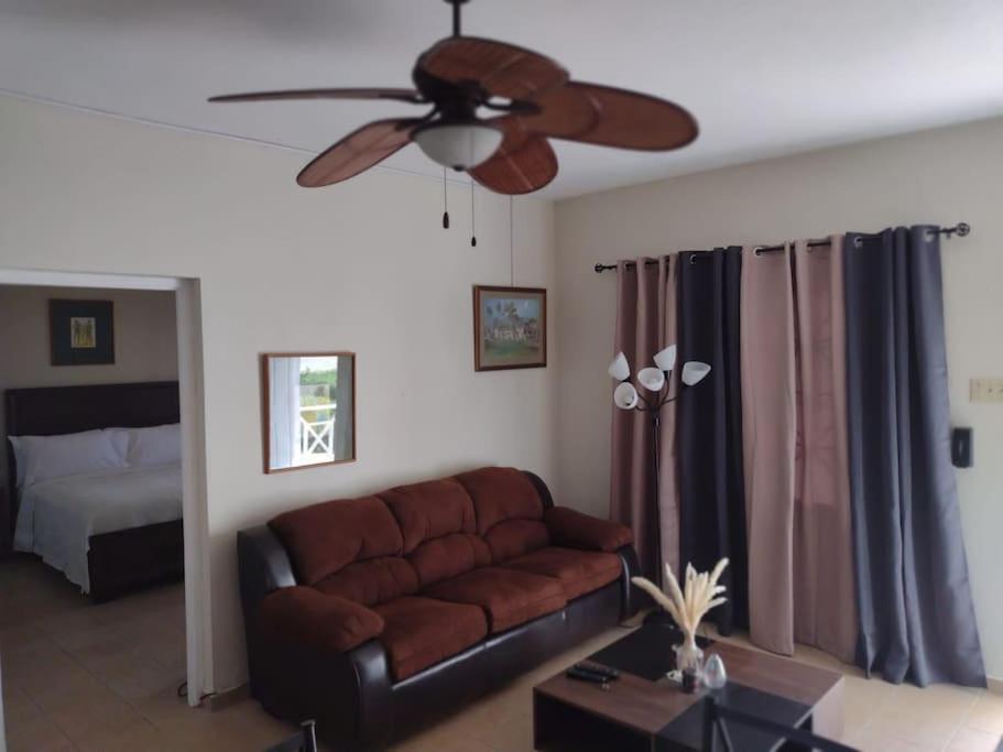 Club Caribbean Apartments Runaway Bay Ngoại thất bức ảnh